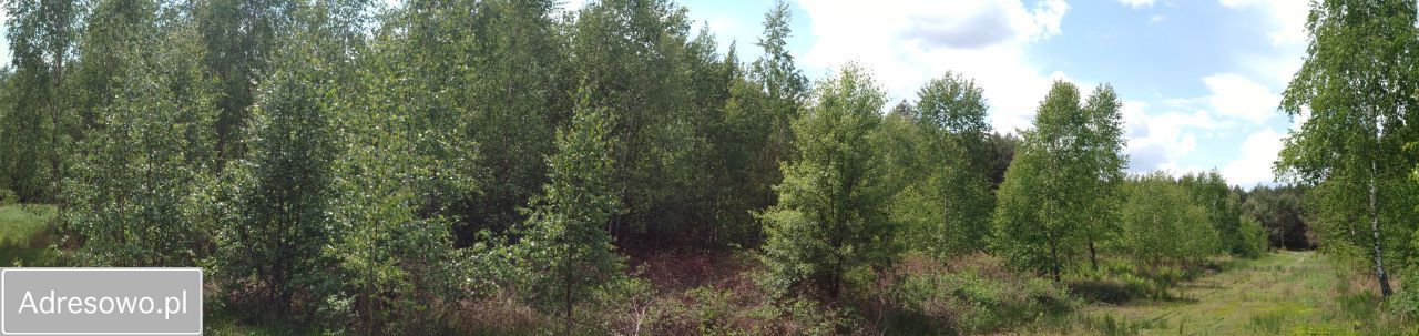 Działka budowlana Osęczyzna. Zdjęcie 7