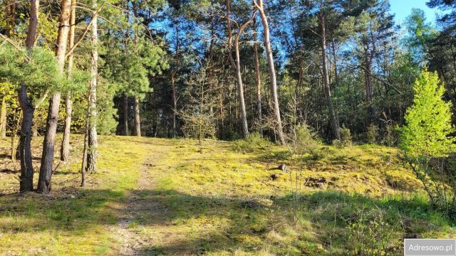 Działka budowlana Kazuń-Bielany, ul. Krótka. Zdjęcie 1