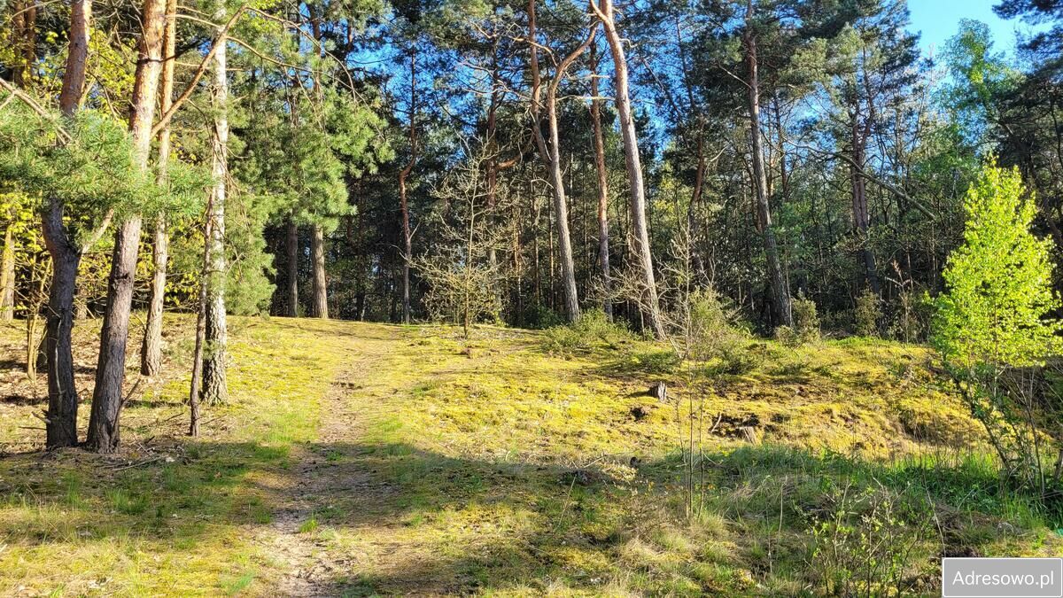 Działka budowlana Kazuń-Bielany, ul. Krótka