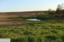 Działka budowlana Świecie, ul. Mahoniowa. Zdjęcie 2