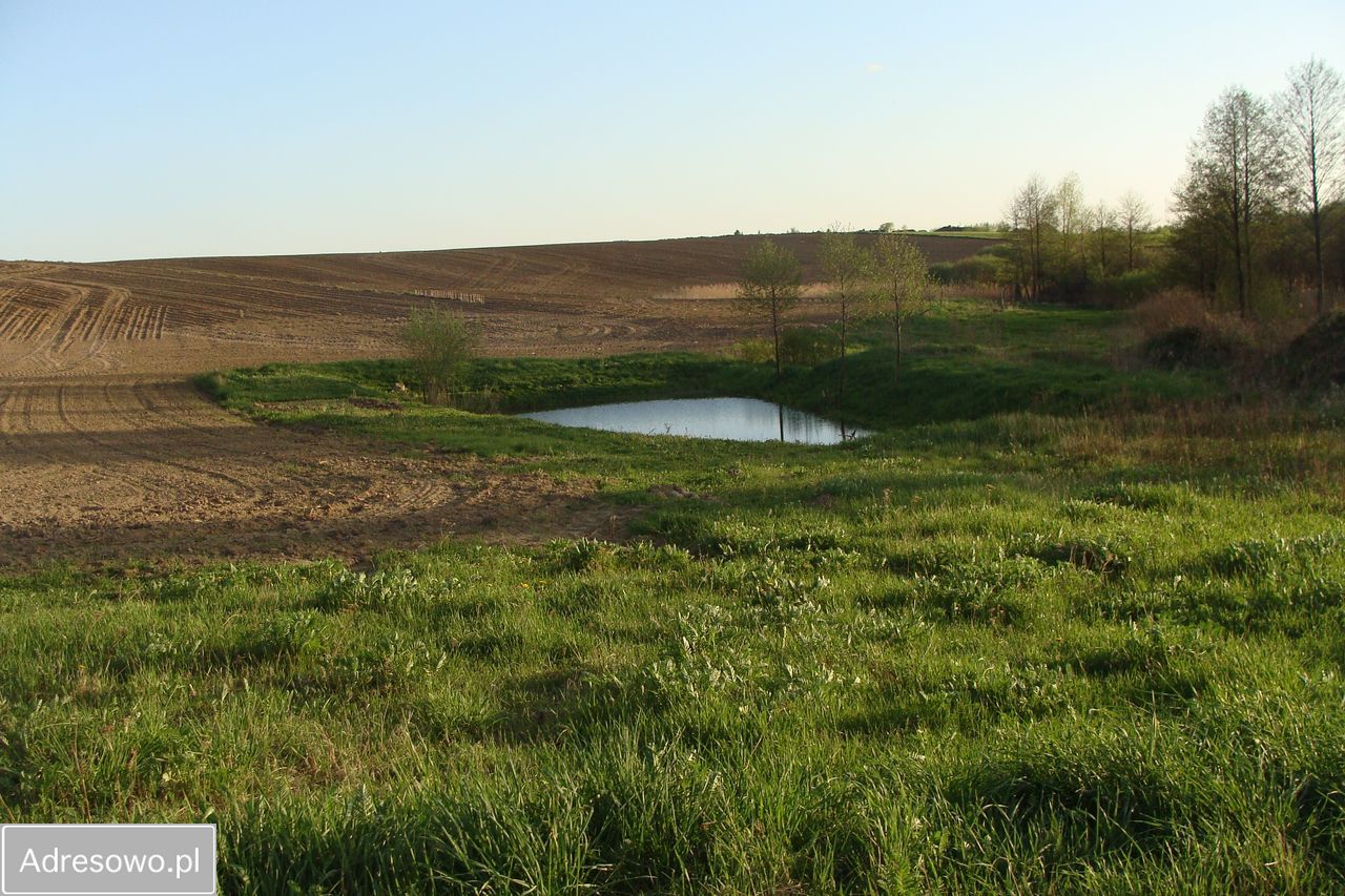 Działka budowlana Świecie, ul. Mahoniowa. Zdjęcie 3