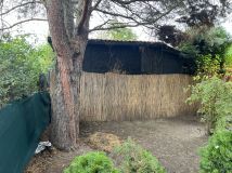 Działka rod Dąbrowa Górnicza, ul. Tysiąclecia. Zdjęcie 1