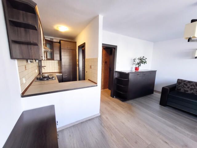 Mieszkanie 1-pokojowe Katowice Piotrowice, ul. Tadeusza Kościuszki. Zdjęcie 3