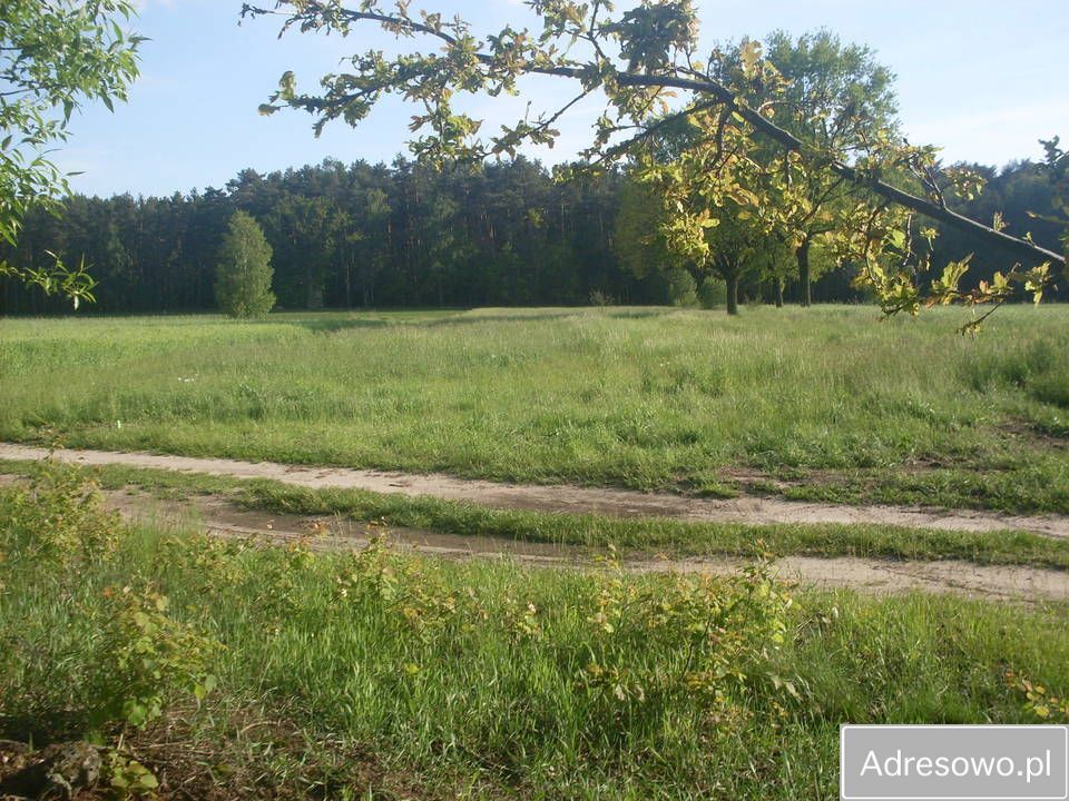 Działka rolna Raszków. Zdjęcie 4