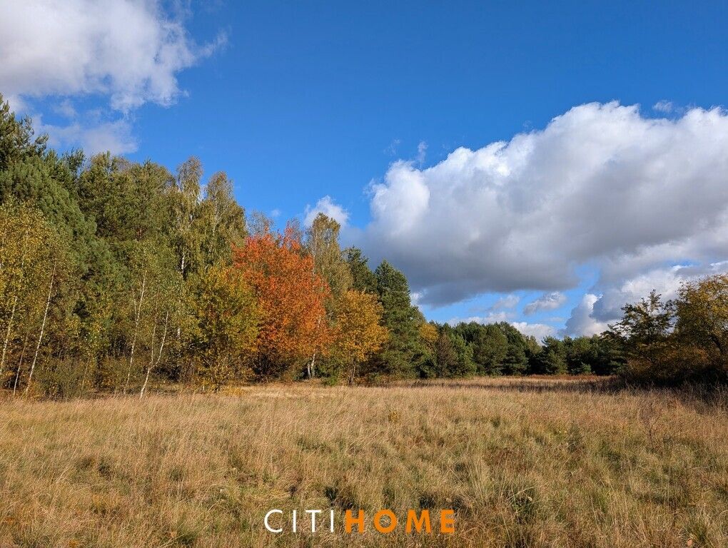 Działka siedliskowa Czarnowiec. Zdjęcie 2