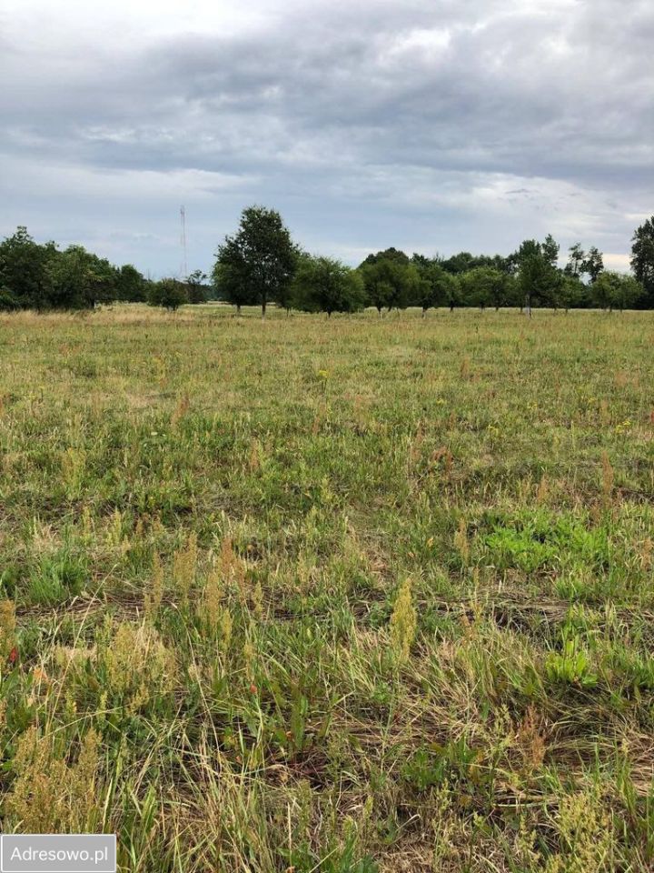Działka budowlana Gromadka, ul. Polna. Zdjęcie 3