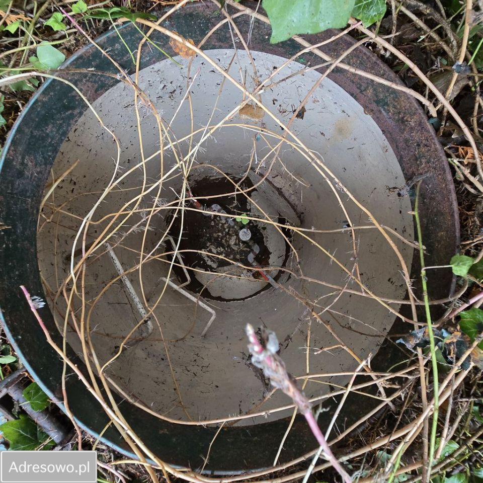 Działka rolno-budowlana Bolechowo. Zdjęcie 10