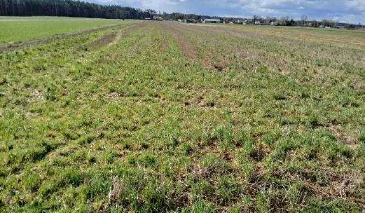 Działka inwestycyjna Jasiony