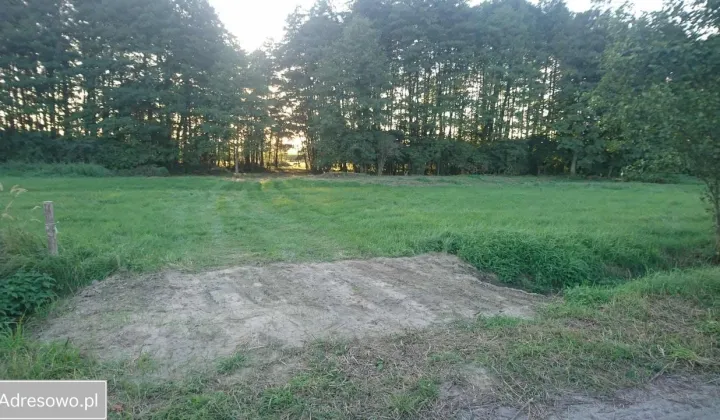 Działka rolno-budowlana Sadowie