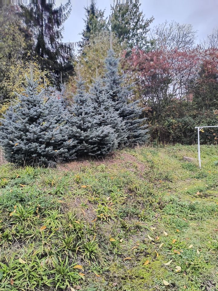 dom wolnostojący, 11 pokoi Kotla, ul. Głogowska. Zdjęcie 7