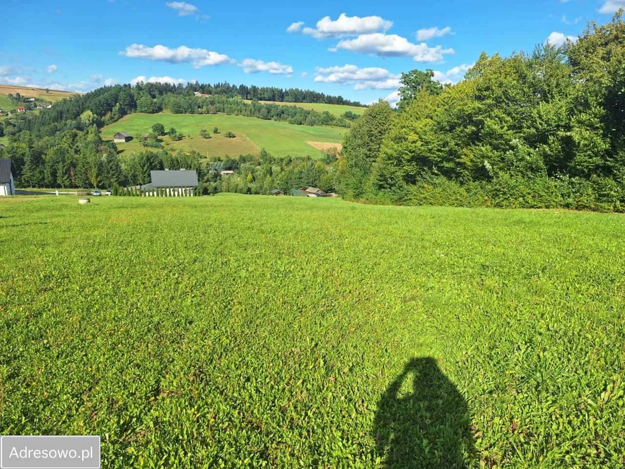 Działka budowlana Korzenna. Zdjęcie 3