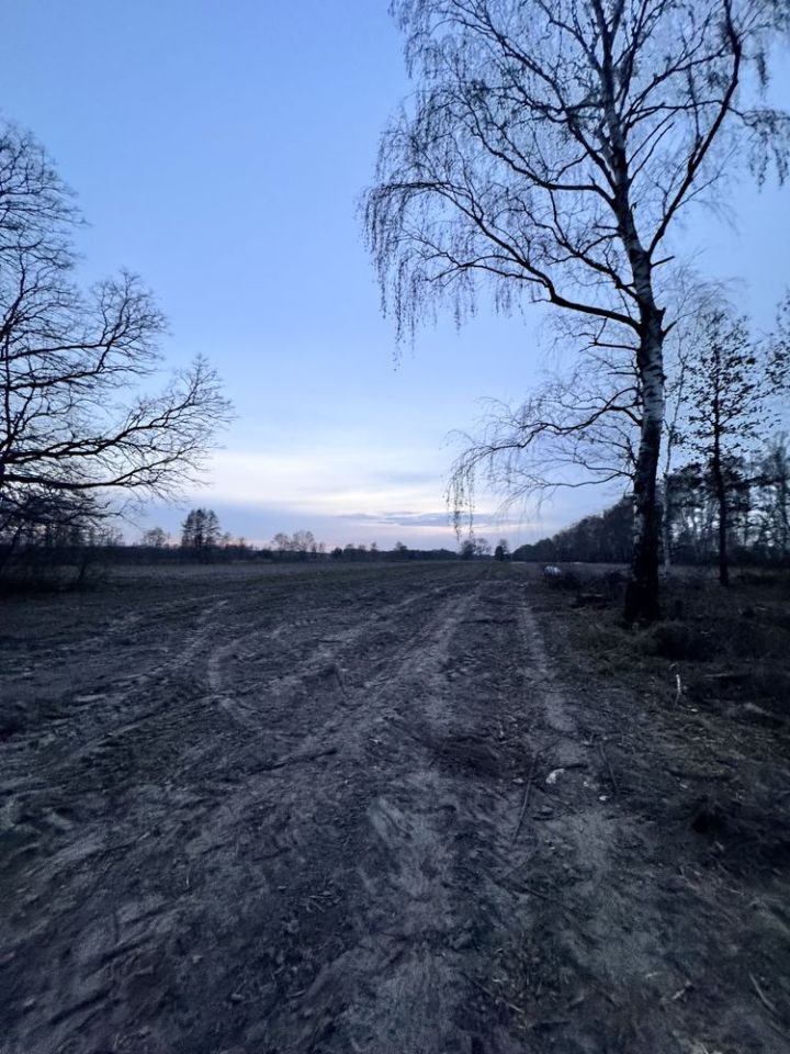 Działka rolna Gozdów. Zdjęcie 6