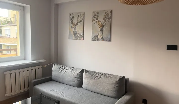 Mieszkanie 1-pokojowe Łódź Górna, ul. Dźwiękowa