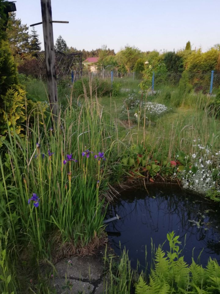 Działka rod Opole, ul. Częstochowska. Zdjęcie 6