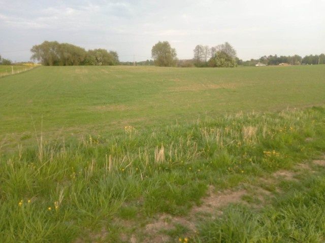 Działka rolna Karbowskie. Zdjęcie 4