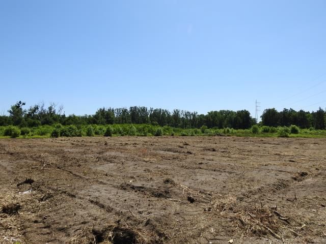 Działka budowlana Dobieszowice, ul. Niebyła. Zdjęcie 1