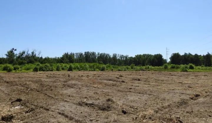Działka budowlana Dobieszowice, ul. Niebyła