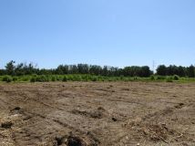 Działka budowlana Dobieszowice, ul. Niebyła