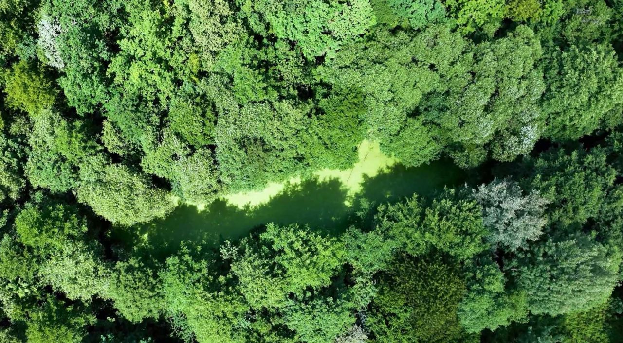 Działka rekreacyjna Wojciechowice. Zdjęcie 8