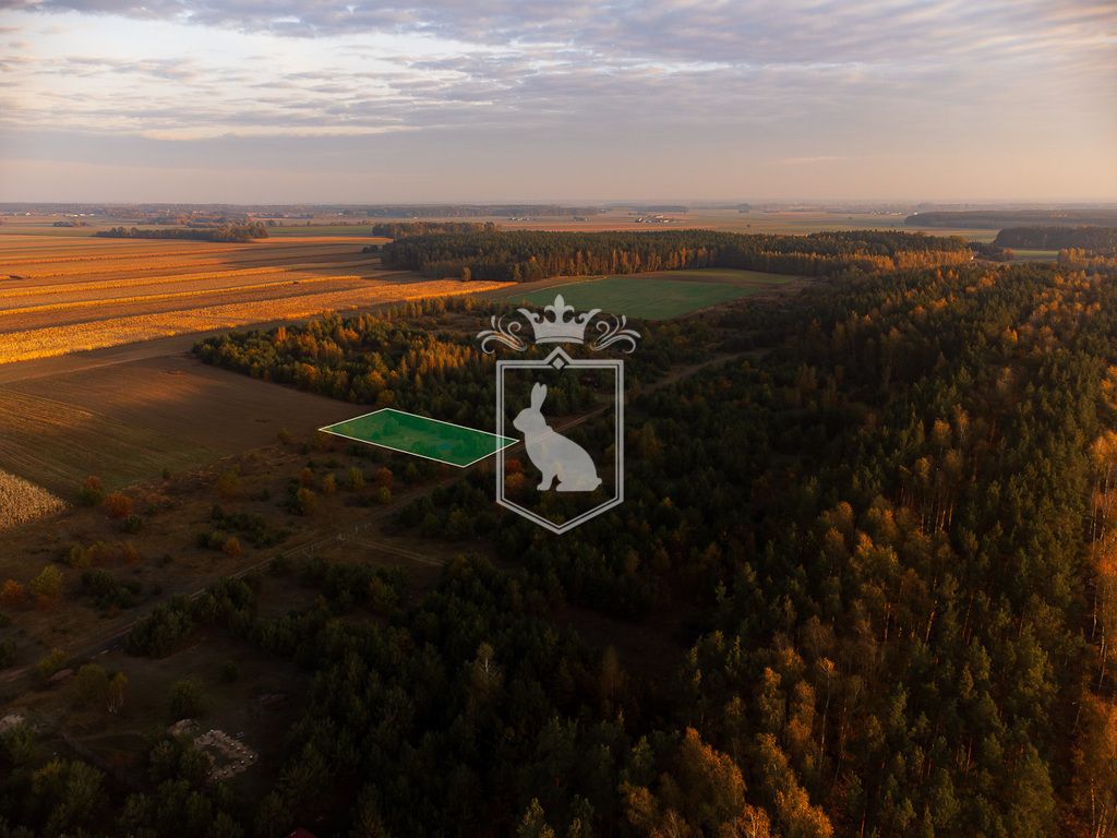 Działka budowlana Gnojno. Zdjęcie 2