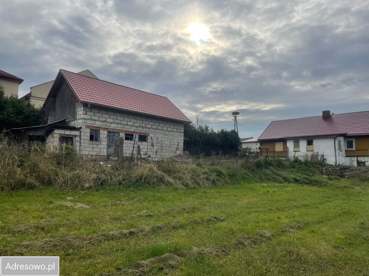 siedlisko Jaszczów. Zdjęcie 7