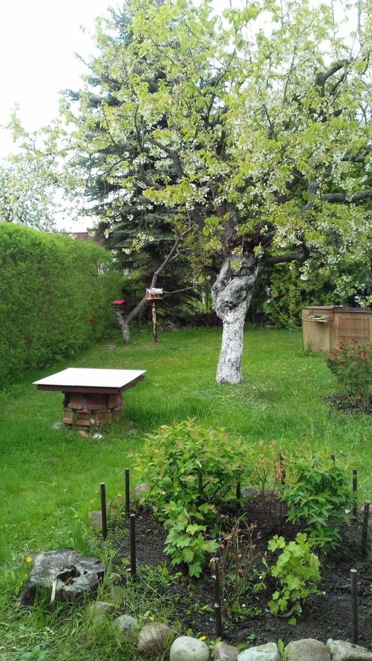 Działka rod Grudziądz. Zdjęcie 5