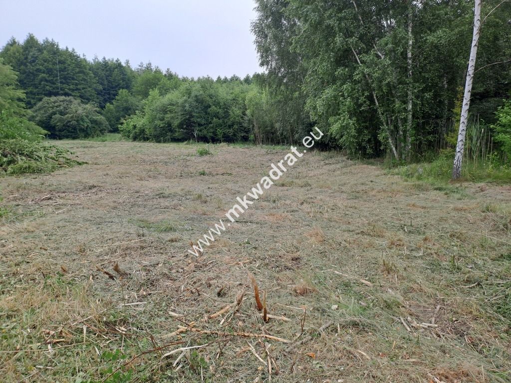 Działka budowlana Stara Wieś, ul. Olchowa. Zdjęcie 4