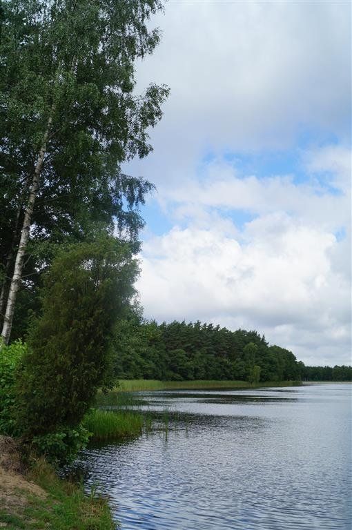 Biuro Niedalino. Zdjęcie 29