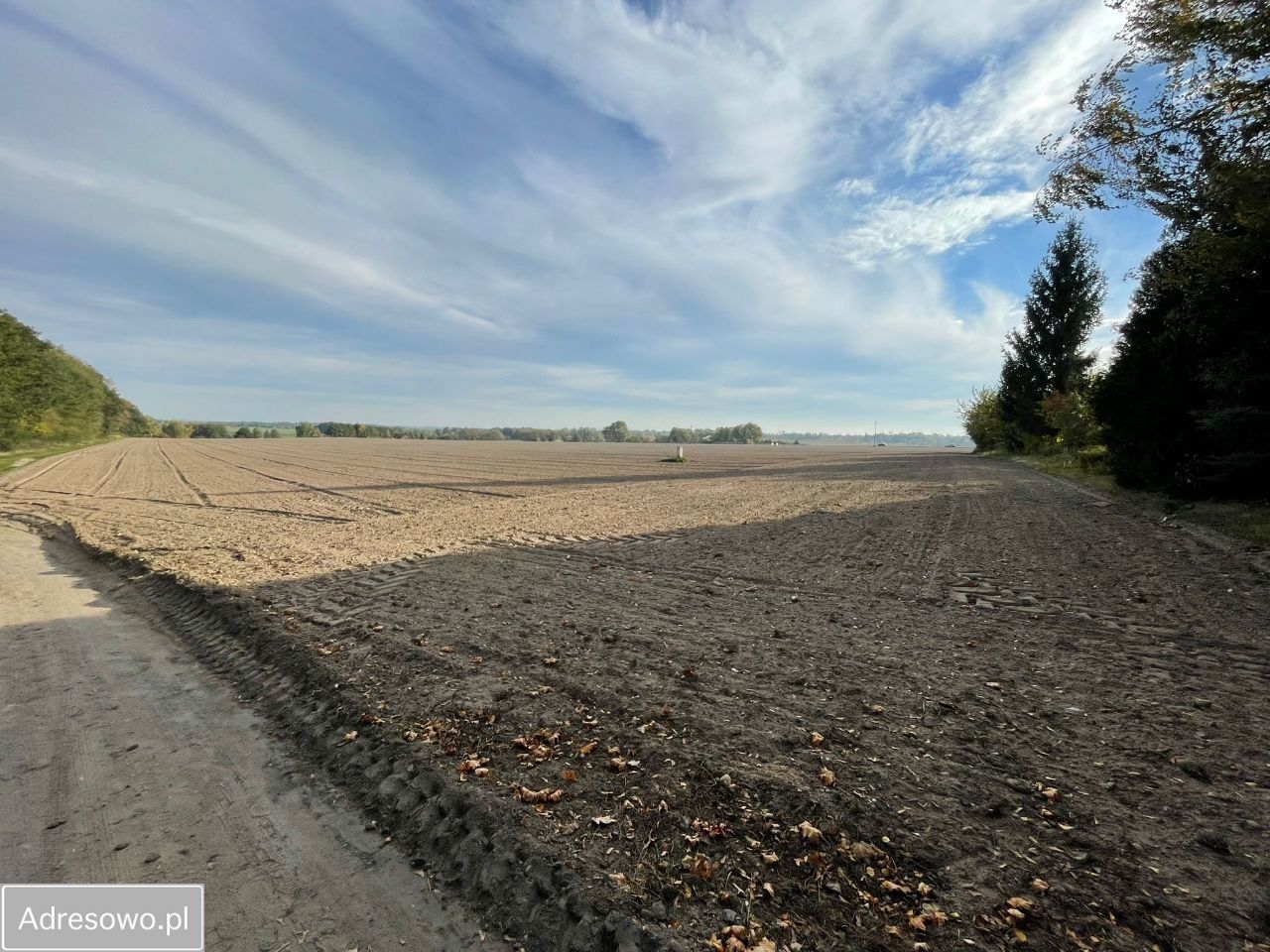 Działka budowlana Promienko Wiktorówka, ul. Tawułowa. Zdjęcie 10