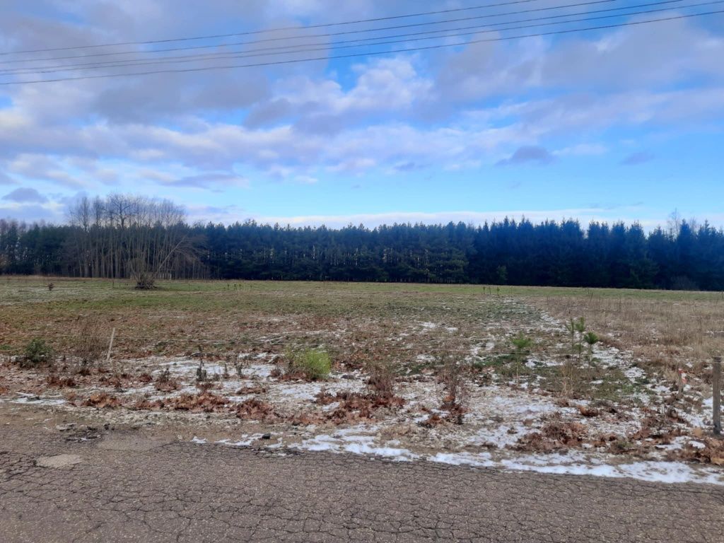Działka budowlana Szafranki. Zdjęcie 6
