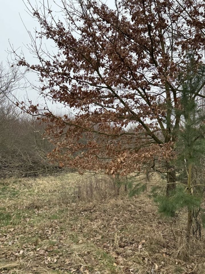 Działka budowlana Zębowo, ul. Łąkowa. Zdjęcie 2