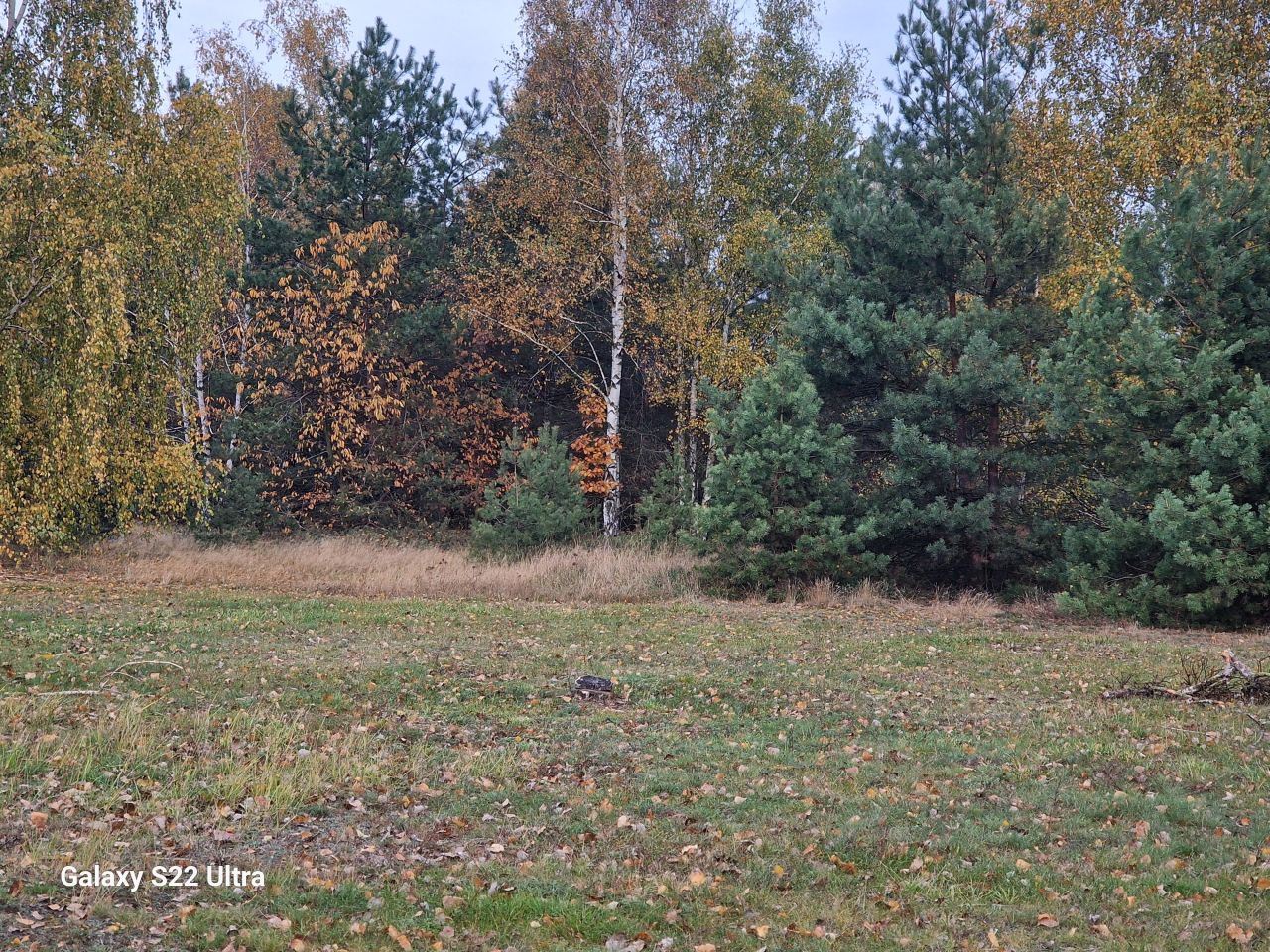 Działka budowlana Potasze, ul. Lipowa