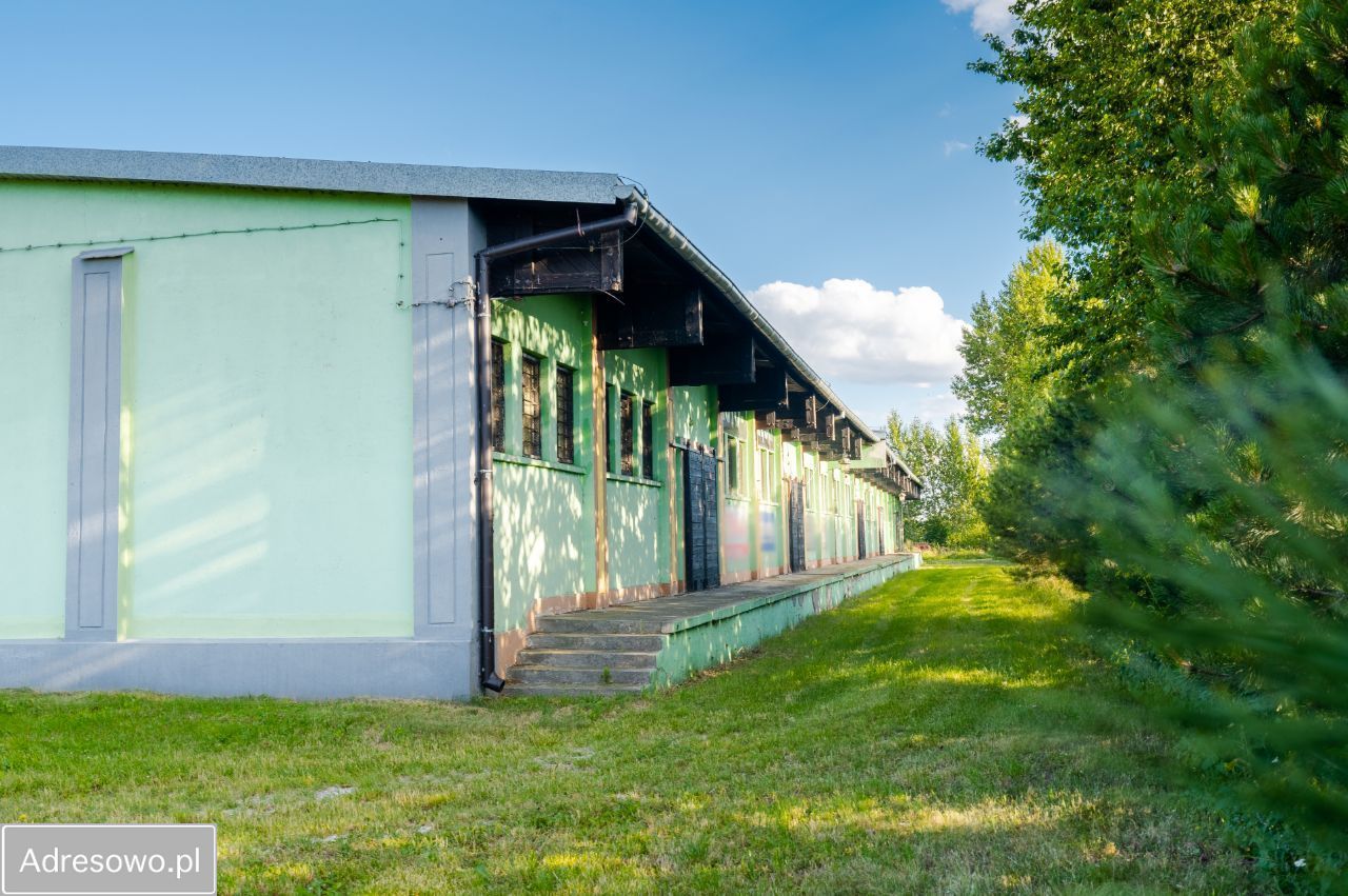 Hala/magazyn Wilczogóra. Zdjęcie 7