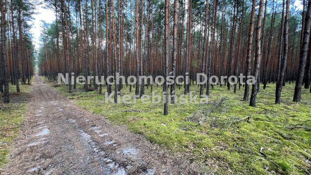 Działka rekreacyjna Inowłódz. Zdjęcie 9