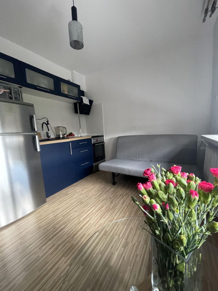 Mieszkanie 1-pokojowe Katowice Ochojec, ul. Marcina Radockiego. Zdjęcie 19