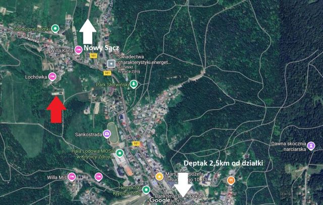 dom wolnostojący Krynica-Zdrój Słotwiny. Zdjęcie 3