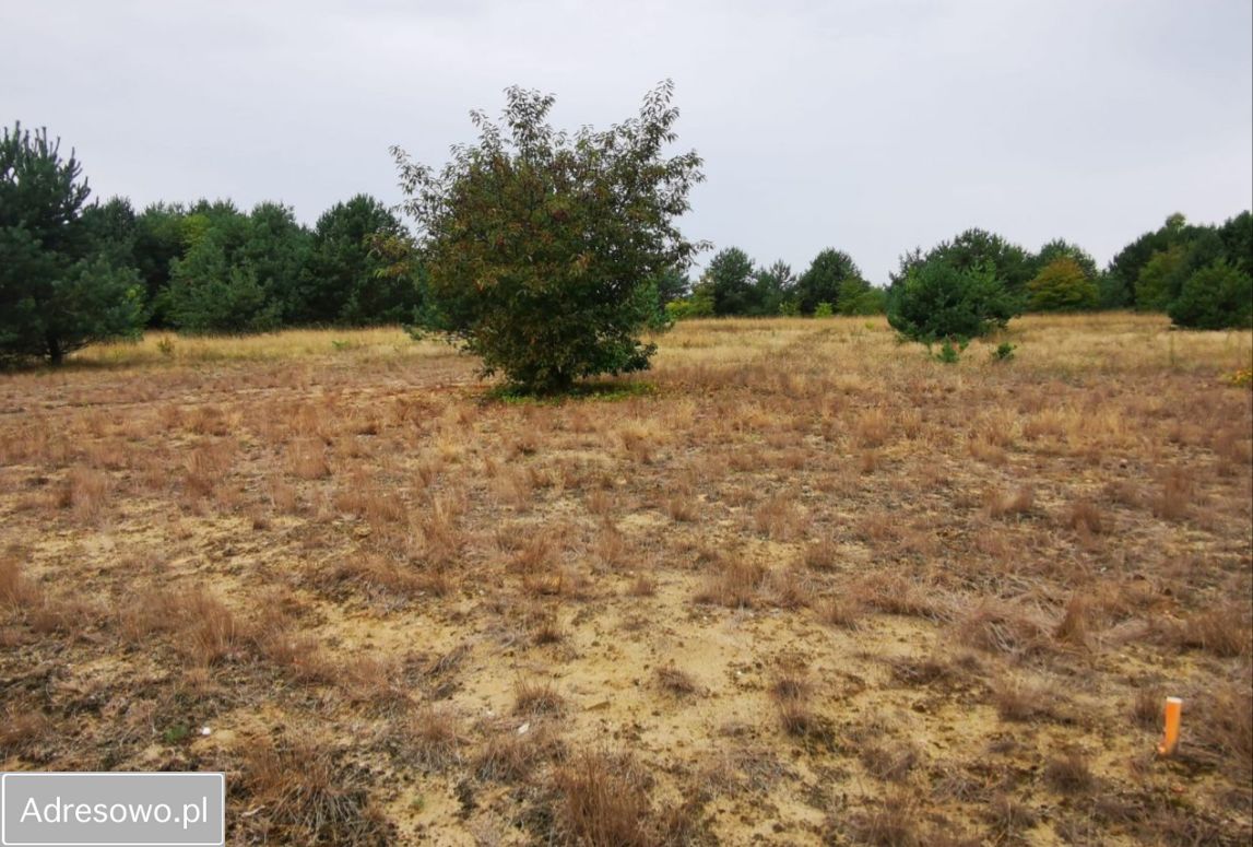 Działka budowlana Miedzichowo, ul. Szparagowa. Zdjęcie 4