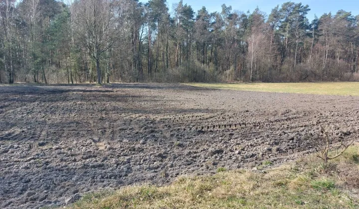 Działka budowlana Serniki-Kolonia