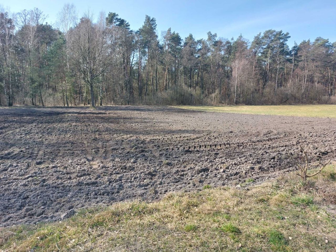 Działka budowlana Serniki-Kolonia. Zdjęcie 1