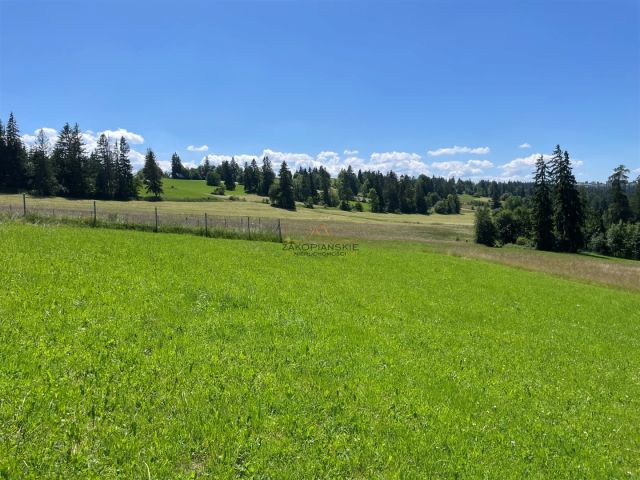 Działka Biały Dunajec. Zdjęcie 4