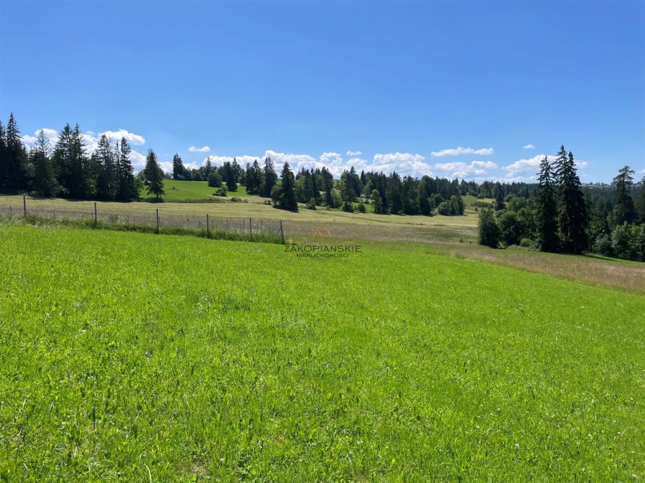 Działka Biały Dunajec. Zdjęcie 4