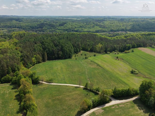 Działka budowlana Michalin, ul. Leśna Dąbrowa. Zdjęcie 3