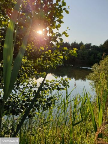 Działka siedliskowa Kup, ul. Polna. Zdjęcie 7