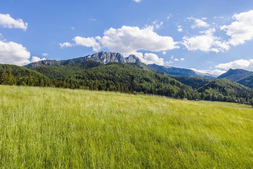 Mieszkanie 2-pokojowe Zakopane. Zdjęcie 11