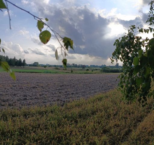 Działka budowlana Pałecznica-Kolonia. Zdjęcie 1