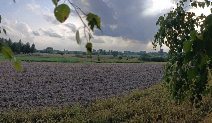 Działka budowlana Pałecznica-Kolonia