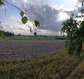 Działka budowlana Pałecznica-Kolonia