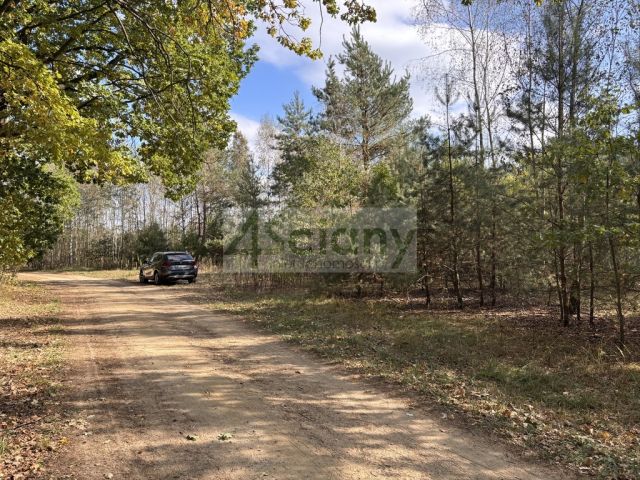 Działka budowlana Dębina. Zdjęcie 1