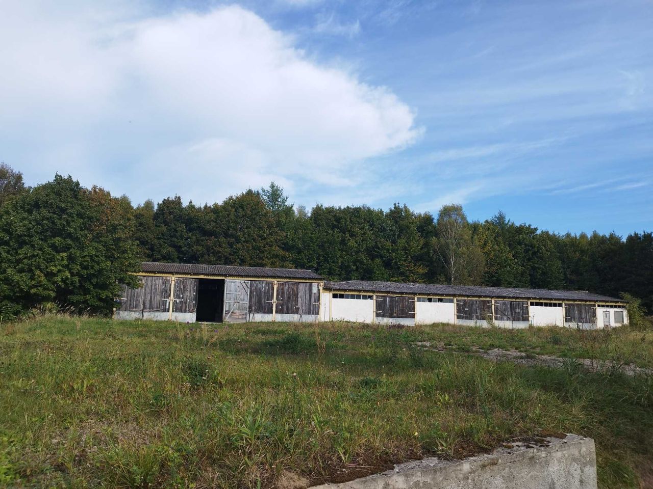 siedlisko Runowo. Zdjęcie 3