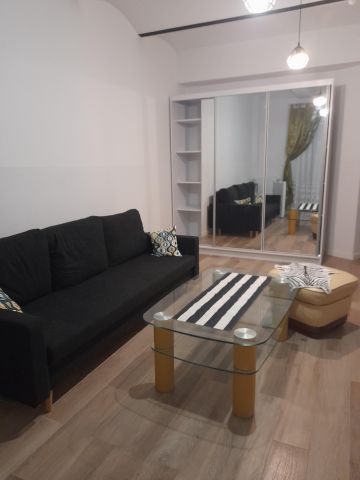 Mieszkanie 1-pokojowe Poznań Jeżyce, ul. Bukowska. Zdjęcie 1